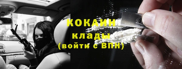ешки Арсеньев