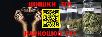 индика Можайск