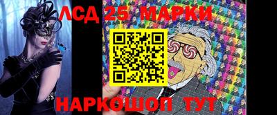 индика Можайск