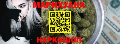 индика Можайск