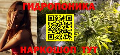 индика Можайск