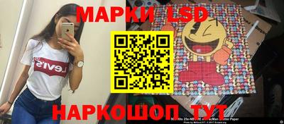 индика Можайск