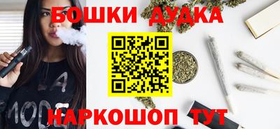 индика Можайск