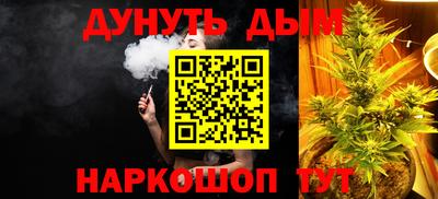 индика Можайск