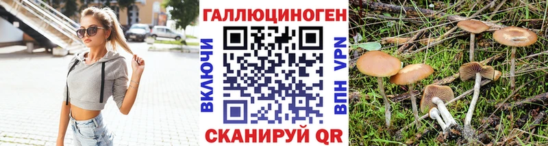 Галлюциногенные грибы Magic Shrooms  Южно-Сахалинск 